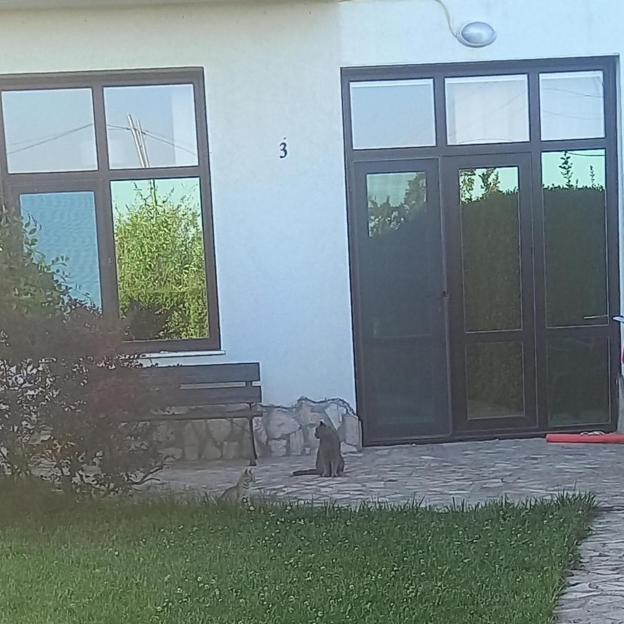 Villa Ketli Apartment Bliznatsi Екстер'єр фото